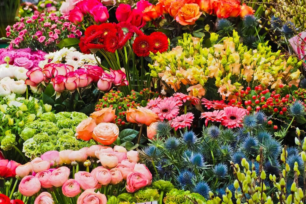 flower, spring, flower background-3231099.jpg